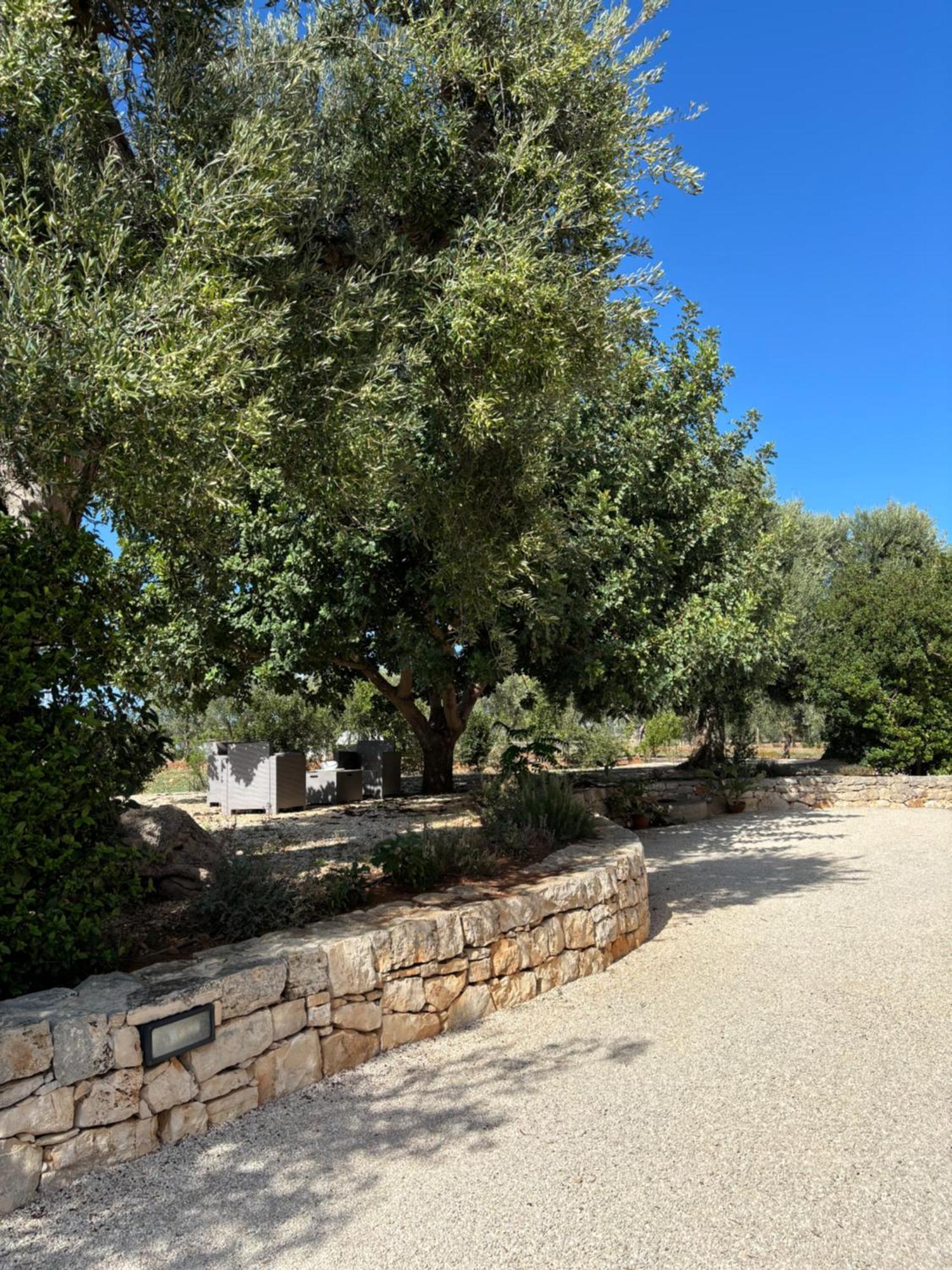 Villa Narducci Montalbano  Esterno foto